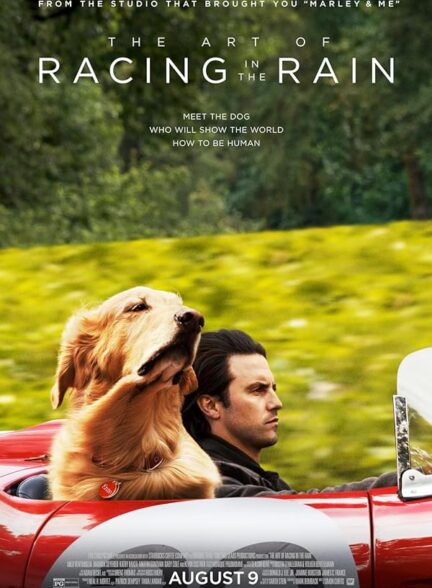 دانلود فیلم The Art of Racing in the Rain